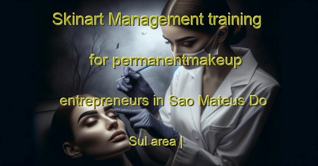 Skinart Management training for permanentmakeup entrepreneurs in Sao Mateus Do Sul area | PermanentmakeupTraining | PermanentmakeupClasses | SkinartTraining-Brazil